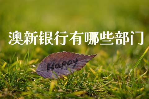 澳新银行有哪些部门_https://wap.sdyuehang.cn_新股申购_第1张