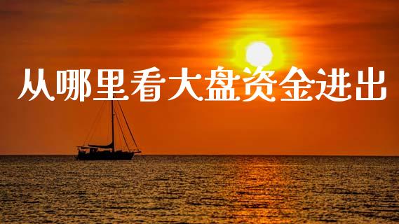 从哪里看大盘资金进出_https://wap.sdyuehang.cn_美股行情_第1张