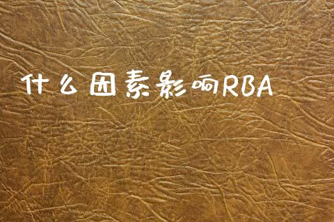 什么因素影响RBA_https://wap.sdyuehang.cn_债券资讯_第1张