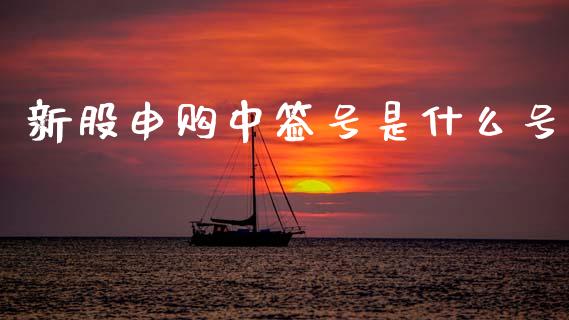 新股申购中签号是什么号_https://wap.sdyuehang.cn_产经新闻_第1张