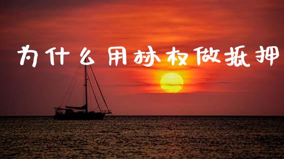 为什么用林权做抵押_https://wap.sdyuehang.cn_美股行情_第1张