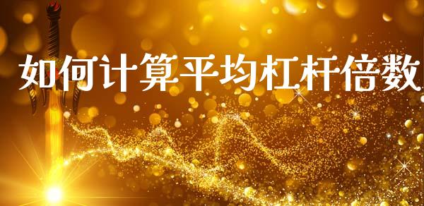 如何计算平均杠杆倍数_https://wap.sdyuehang.cn_债券资讯_第1张