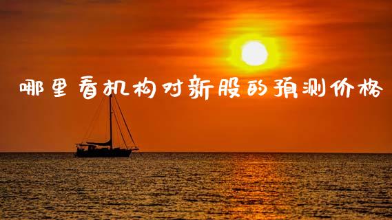 哪里看机构对新股的预测价格_https://wap.sdyuehang.cn_美股行情_第1张