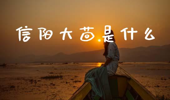 信阳大茴是什么_https://wap.sdyuehang.cn_美股行情_第1张