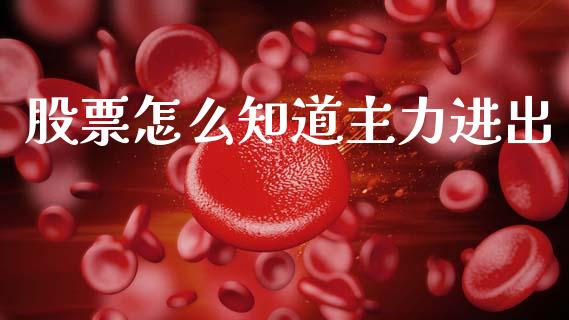 股票怎么知道主力进出_https://wap.sdyuehang.cn_债券资讯_第1张