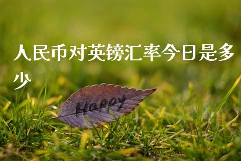 人民币对英镑汇率今日是多少_https://wap.sdyuehang.cn_产经新闻_第1张