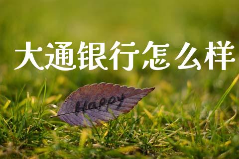 大通银行怎么样_https://wap.sdyuehang.cn_产经新闻_第1张