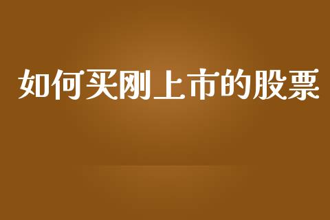 如何买刚上市的股票_https://wap.sdyuehang.cn_新股申购_第1张