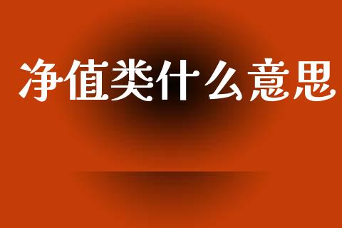 净值类什么意思_https://wap.sdyuehang.cn_产经新闻_第1张