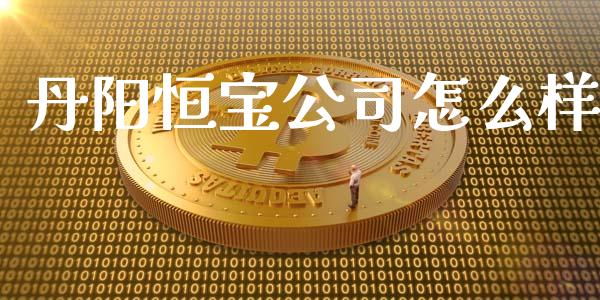 丹阳恒宝公司怎么样_https://wap.sdyuehang.cn_债券资讯_第1张