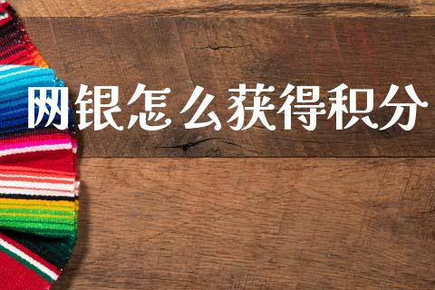 网银怎么获得积分_https://wap.sdyuehang.cn_美股行情_第1张