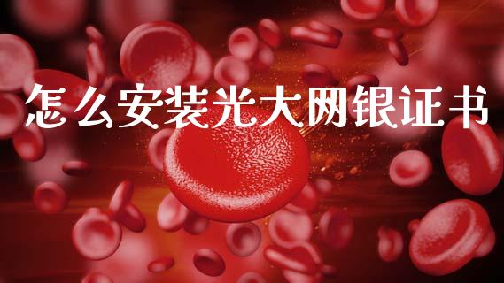 怎么安装光大网银证书_https://wap.sdyuehang.cn_新股申购_第1张