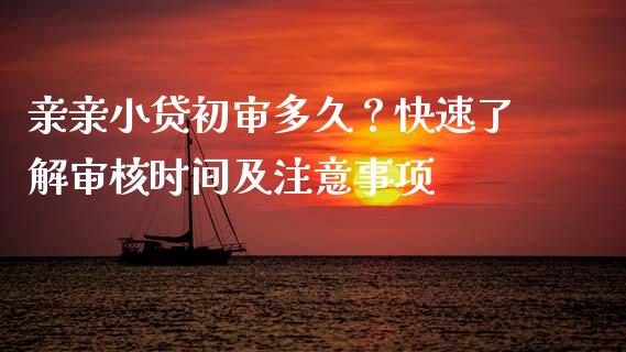 亲亲小贷初审多久？快速了解审核时间及注意事项_https://wap.sdyuehang.cn_债券资讯_第1张