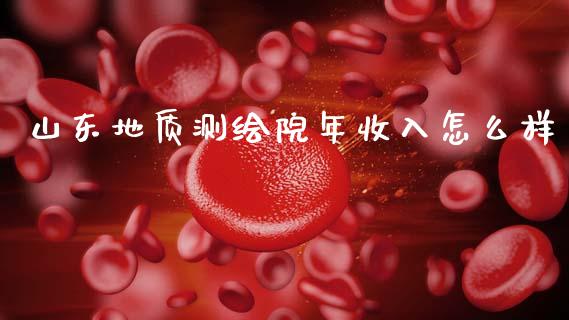 山东地质测绘院年收入怎么样_https://wap.sdyuehang.cn_债券资讯_第1张