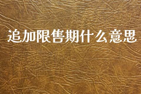 追加限售期什么意思_https://wap.sdyuehang.cn_美股行情_第1张