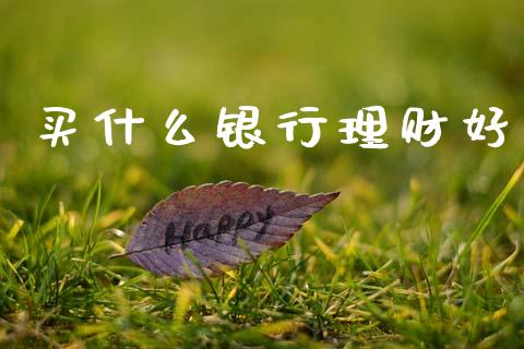买什么银行理财好_https://wap.sdyuehang.cn_新股申购_第1张