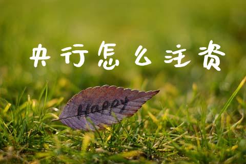 央行怎么注资_https://wap.sdyuehang.cn_新股申购_第1张