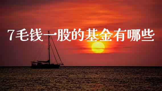 7毛钱一股的基金有哪些_https://wap.sdyuehang.cn_美股行情_第1张