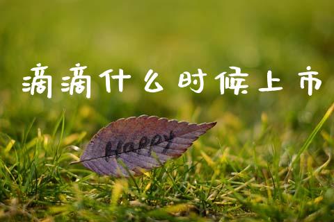 滴滴什么时候上市_https://wap.sdyuehang.cn_新股申购_第1张