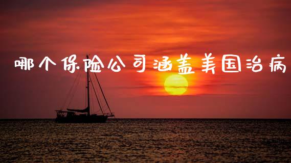 哪个保险公司涵盖美国治病_https://wap.sdyuehang.cn_债券资讯_第1张