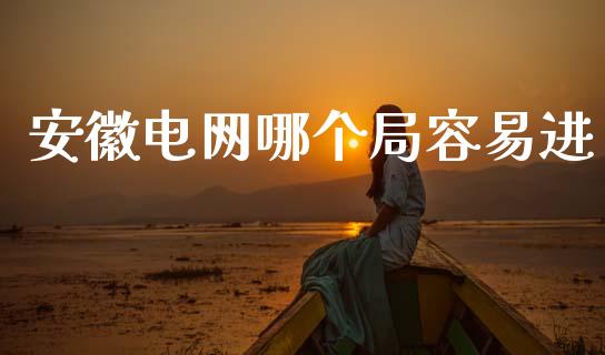 安徽电网哪个局容易进_https://wap.sdyuehang.cn_新股申购_第1张