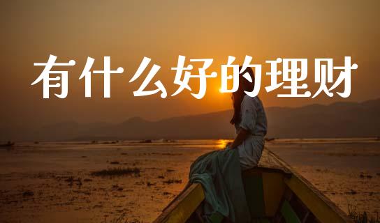 有什么好的理财_https://wap.sdyuehang.cn_债券资讯_第1张