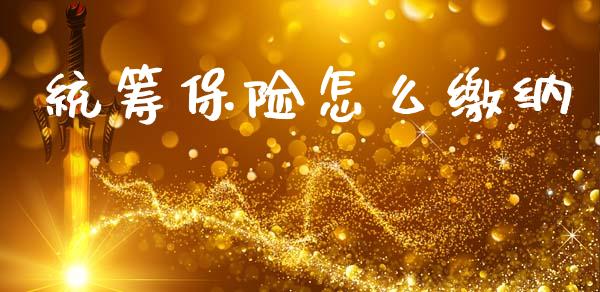 统筹保险怎么缴纳_https://wap.sdyuehang.cn_新股申购_第1张