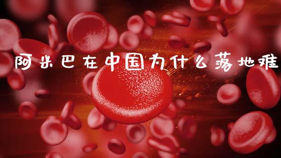 阿米巴在中国为什么落地难_https://wap.sdyuehang.cn_产经新闻_第1张
