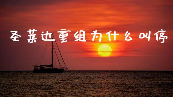 圣莱达重组为什么叫停_https://wap.sdyuehang.cn_债券资讯_第1张
