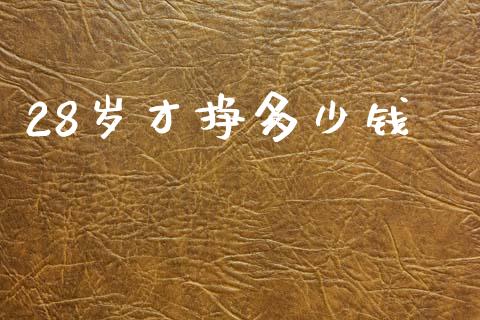 28岁才挣多少钱_https://wap.sdyuehang.cn_新股申购_第1张