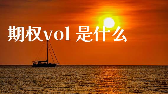 期权vol 是什么_https://wap.sdyuehang.cn_美股行情_第1张