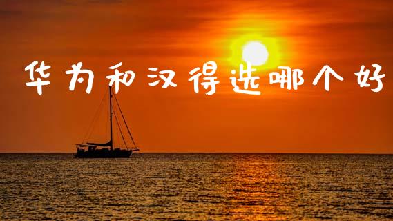 华为和汉得选哪个好_https://wap.sdyuehang.cn_新股申购_第1张