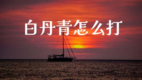 白丹青怎么打_https://wap.sdyuehang.cn_债券资讯_第1张