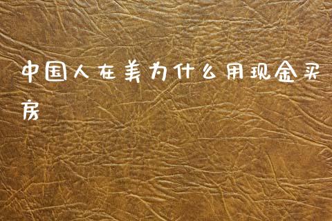 中国人在美为什么用现金买房_https://wap.sdyuehang.cn_债券资讯_第1张