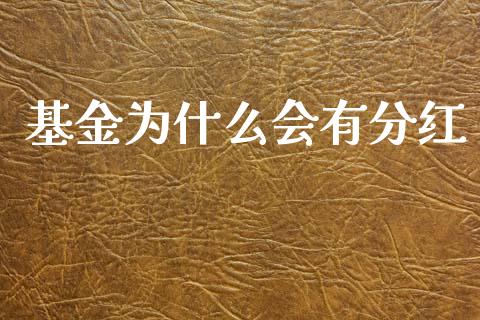基金为什么会有分红_https://wap.sdyuehang.cn_产经新闻_第1张
