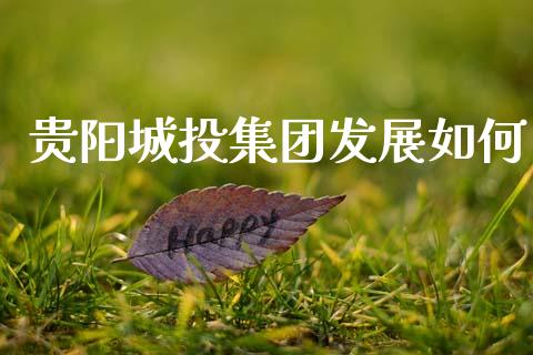 贵阳城投集团发展如何_https://wap.sdyuehang.cn_产经新闻_第1张