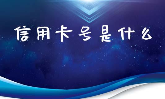 信用卡号是什么_https://wap.sdyuehang.cn_美股行情_第1张
