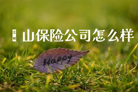 鑫山保险公司怎么样_https://wap.sdyuehang.cn_产经新闻_第1张