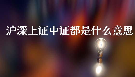 沪深上证中证都是什么意思_https://wap.sdyuehang.cn_产经新闻_第1张