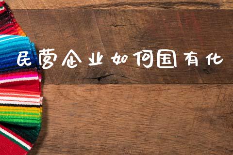 民营企业如何国有化_https://wap.sdyuehang.cn_美股行情_第1张