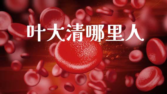 叶大清哪里人_https://wap.sdyuehang.cn_美股行情_第1张