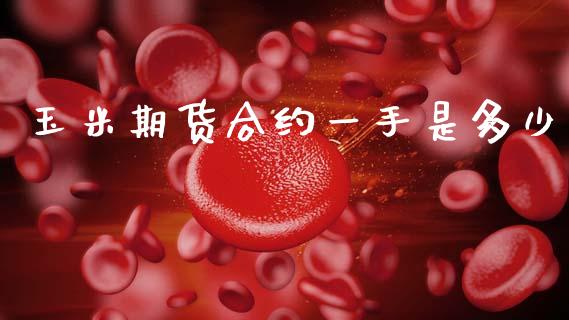 玉米期货合约一手是多少_https://wap.sdyuehang.cn_美股行情_第1张