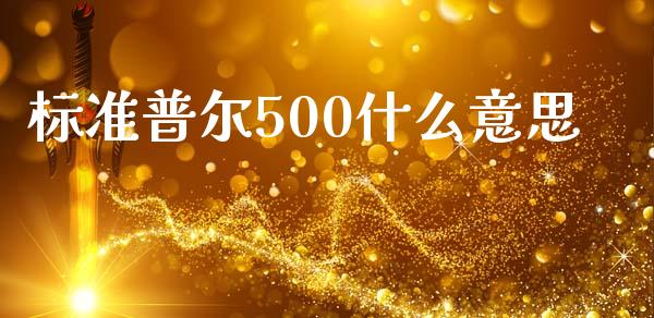 标准普尔500什么意思_https://wap.sdyuehang.cn_产经新闻_第1张