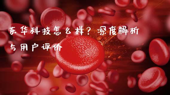 东华科技怎么样？深度解析与用户评价_https://wap.sdyuehang.cn_新股申购_第1张