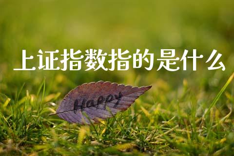 上证指数指的是什么_https://wap.sdyuehang.cn_美股行情_第1张