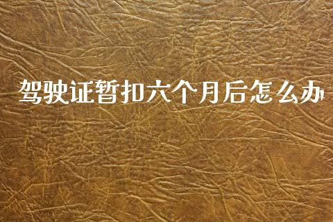 驾驶证暂扣六个月后怎么办_https://wap.sdyuehang.cn_新股申购_第1张
