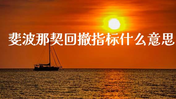 斐波那契回撤指标什么意思_https://wap.sdyuehang.cn_美股行情_第1张