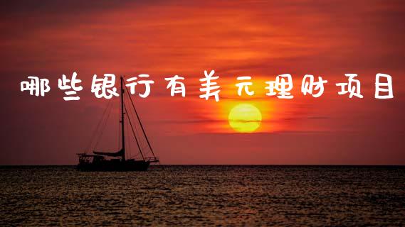 哪些银行有美元理财项目_https://wap.sdyuehang.cn_美股行情_第1张