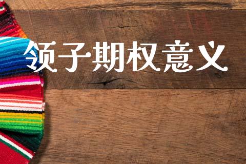 领子期权意义_https://wap.sdyuehang.cn_新股申购_第1张