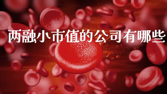 两融小市值的公司有哪些_https://wap.sdyuehang.cn_债券资讯_第1张